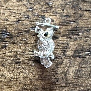 For the Graduate - A Wise Owl Charm